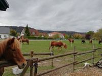 Pferde-Quartier in Bracht